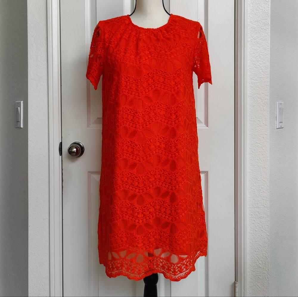 Zara Basic Tangerine Scalloped Lace Dress